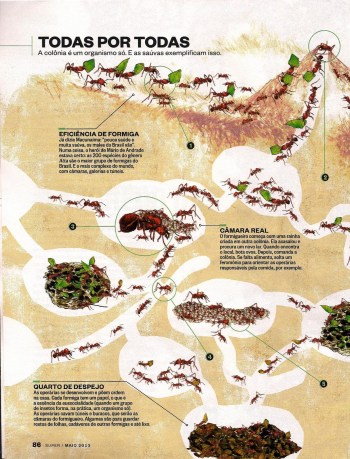 FormigasSuper-page-003