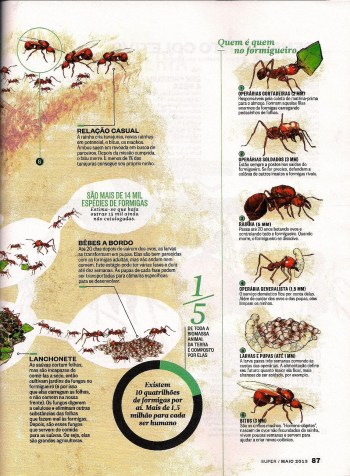 FormigasSuper-page-004