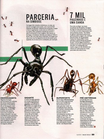 FormigasSuper-page-006